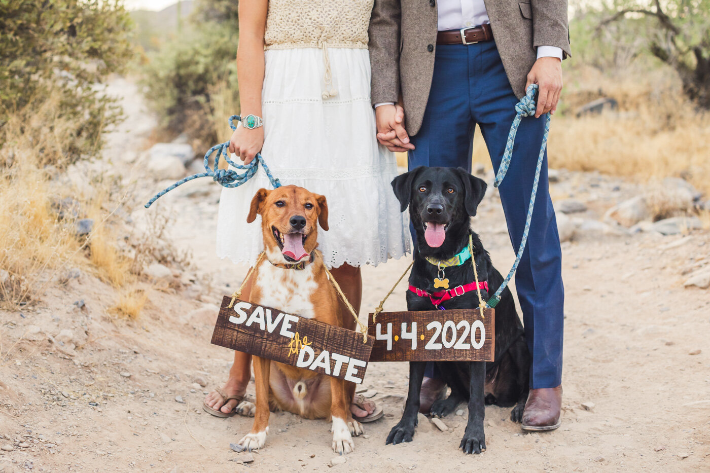 save-the-date-with-dogs.jpg